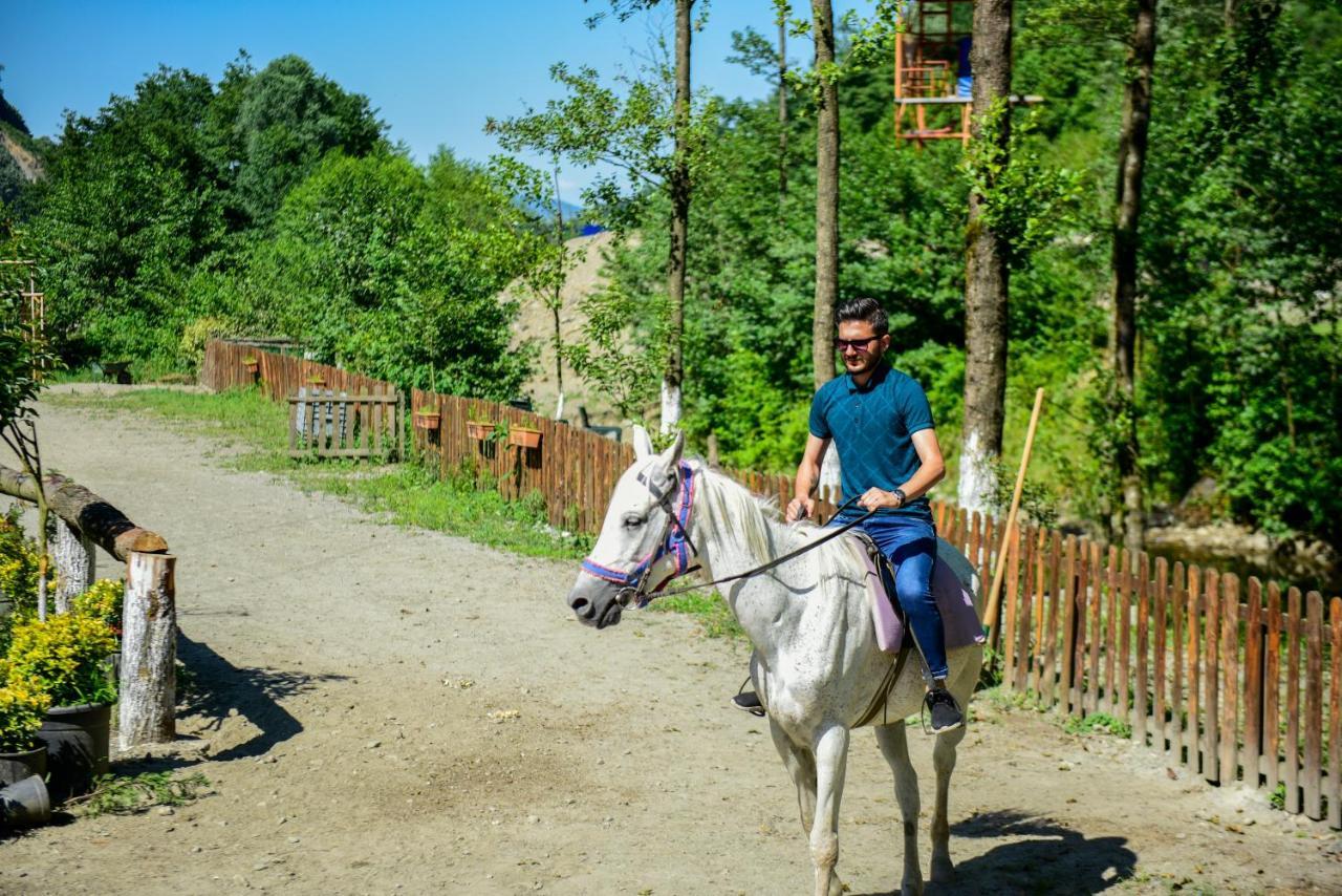 Naturkoy Sapanca Sakarya  Eksteriør billede